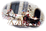 Hästdroska i Wien
